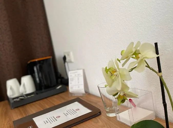 鲁德温格思广场酒店 3* Gießen